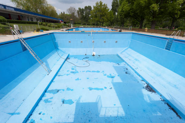 Best Carpet water damage restoration  in Point Roberts, WA