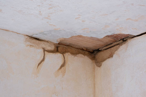 Best Water damage restoration company  in Point Roberts, WA