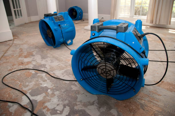 Best Fire Damage Restoration  in Point Roberts, WA