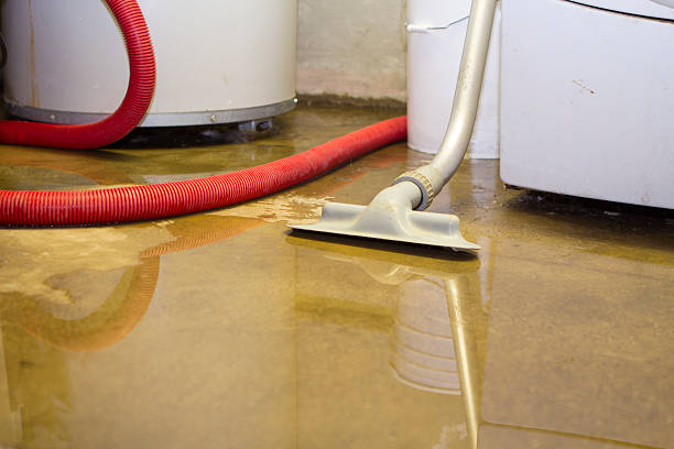 Best 24/7 water damage repair  in Point Roberts, WA