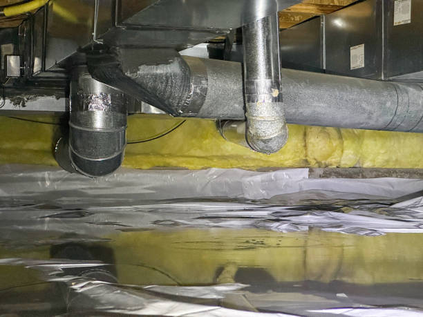 Best Emergency water damage restoration  in Point Roberts, WA