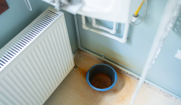 Best Professional water damage repair  in Point Roberts, WA