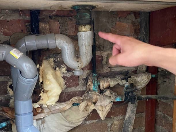 Point Roberts, WA Water damage restoration Company